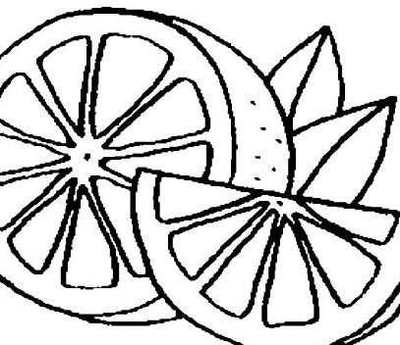 水果橘子簡筆畫與果樹描繪指南