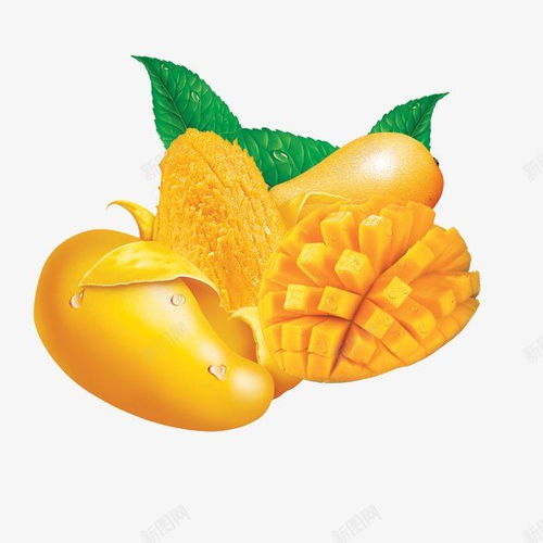 熱帶靈感 融合新鮮水果與綠葉的設計素材寶庫