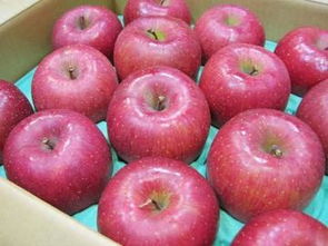 日本水果蔬菜市場解析 從代購、價格到二手商品的購買指南